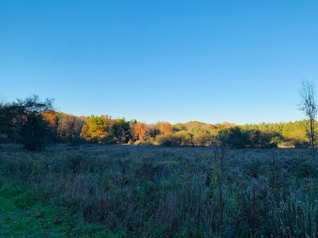 Dundas Valley Conservation Area